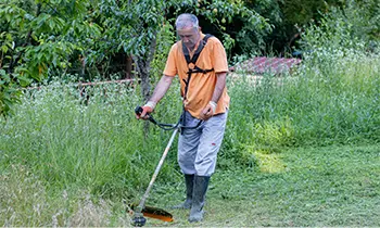 Gardening & Landscaping